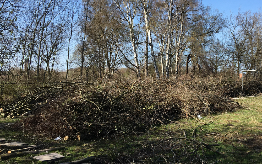 Mehrere Gehölzschnitthaufen liegen auf einer Wiese aufgetürmt.