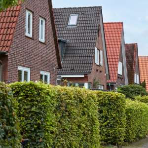 Einfamilienhäuser mit Satteldächern reihen sich hinter grünen Hecken aneinander.