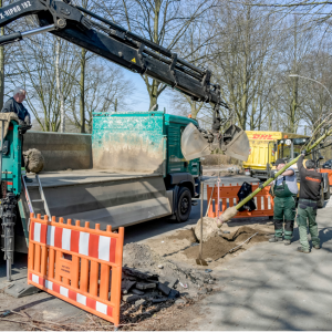 Holz am Haken: Nur mit schwerem Gerät können sie am neuen Standort in die Erde gehievt werden.