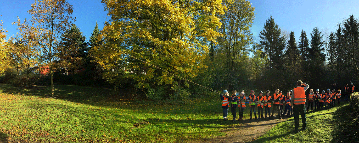 Eine Gruppe von Kindern zieht mit einer Leine an einem Baum.