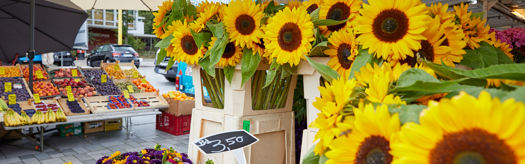 Marktstand mit Sonnenblumen 